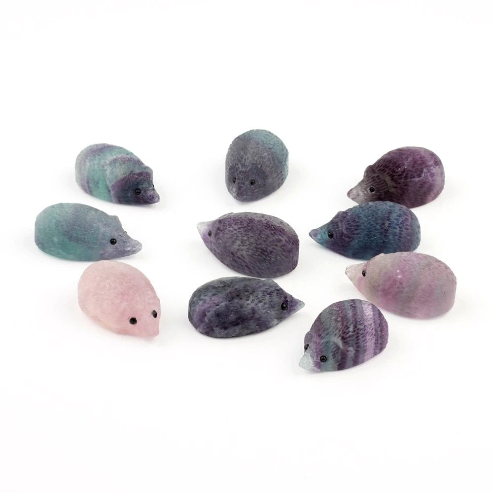 Fluorite Hedgehog